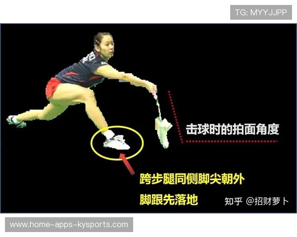 羽毛球小球很毒下网即死——揭秘隐藏的“杀人利器”！